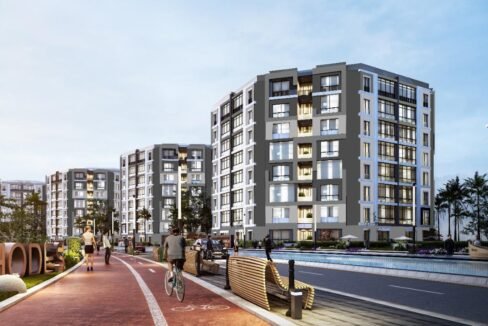 WhatsApp Image 2024-07-24 at 7.00.54 PM (1) - Copy